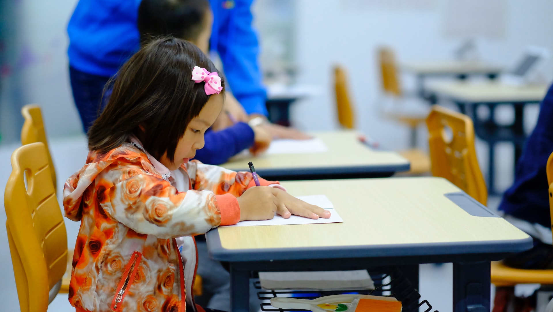 primary education